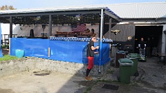 IMG 0330